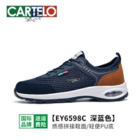 6598c Deep Blue-Mesh модель