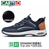 6494c Deep Blue-Mesh модель