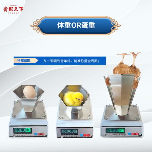 电子秤0.01g高精度智能蓝牙