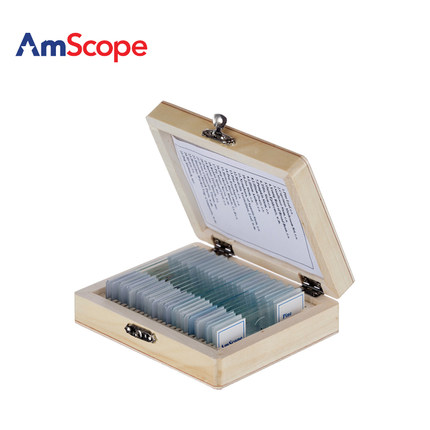 AmScope PS25W 25玻璃预制显微镜载玻片与木盒