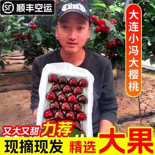 大连美早樱桃国产车厘子3j现摘现发新鲜水果顺丰包邮樱桃