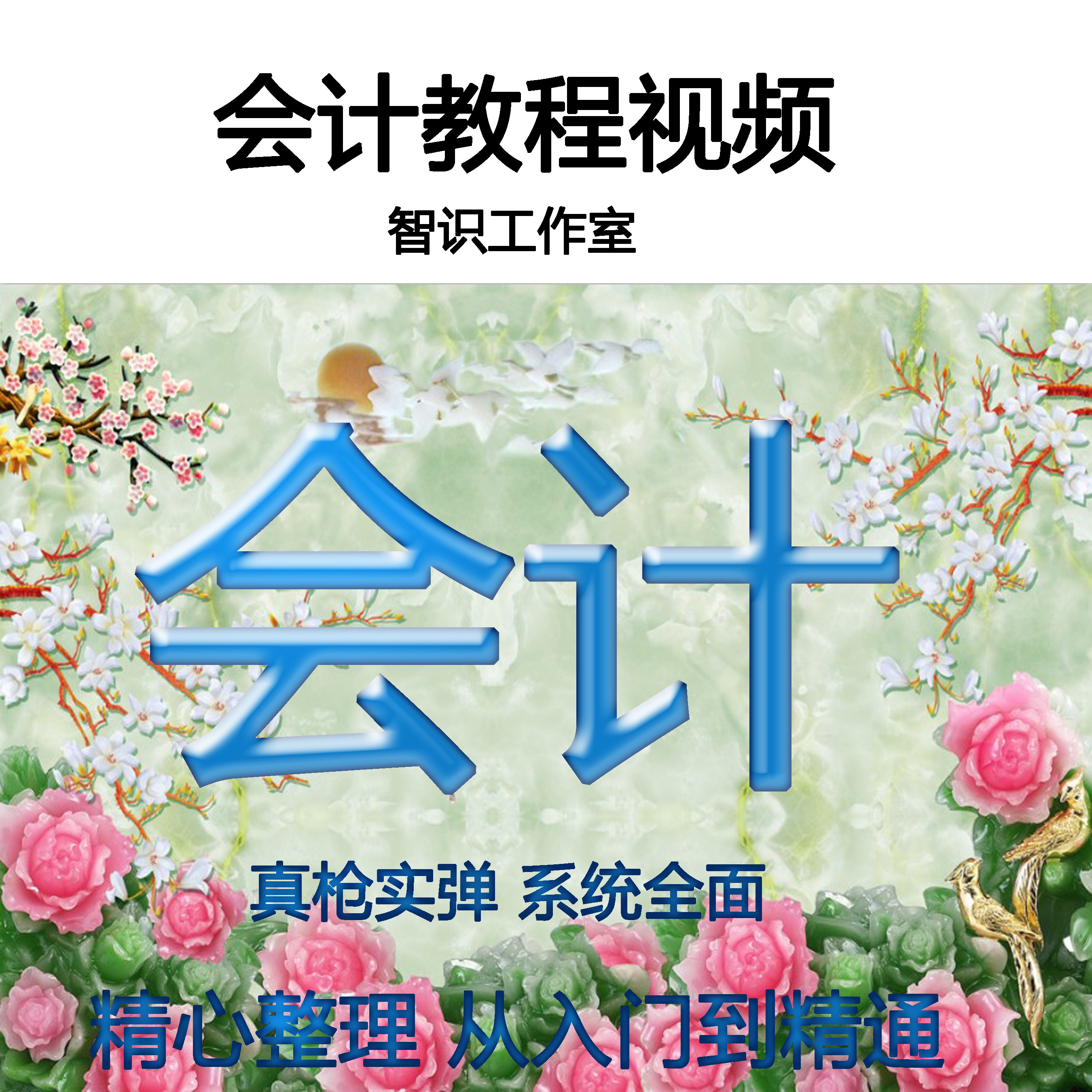 全盘会计做账真账视频教程实操电设计素材/源文件