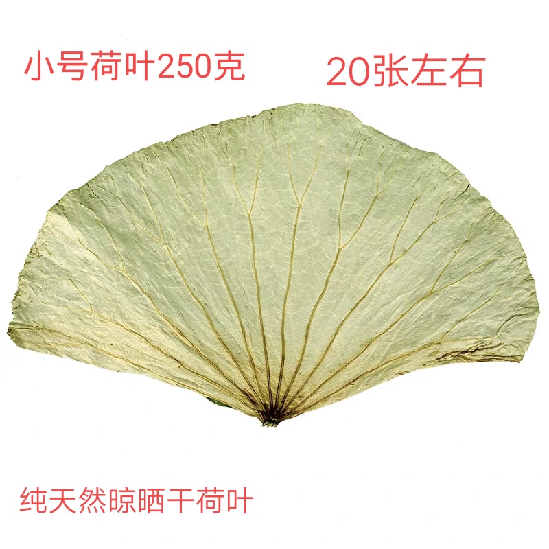 纯天然包粽子蒸饭糯米专用干荷叶