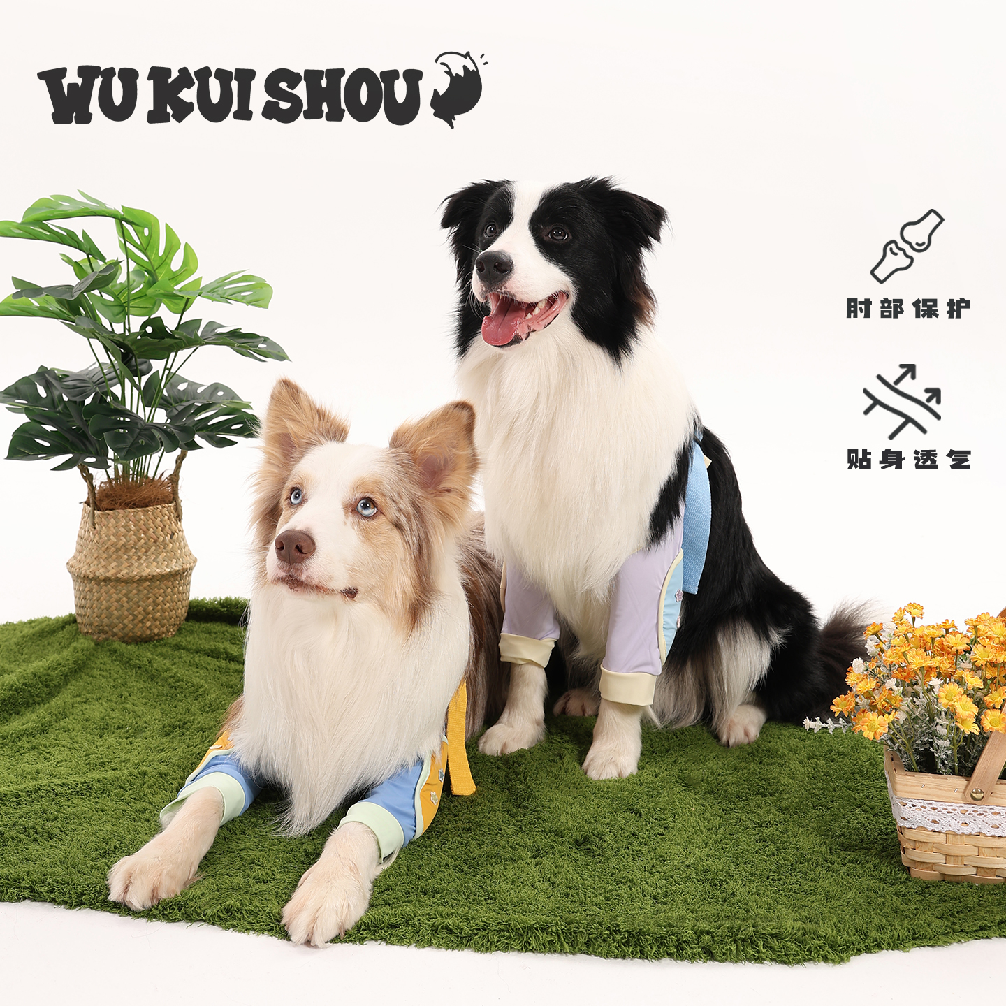 五魁首狗狗夏季薄款护肘保护套