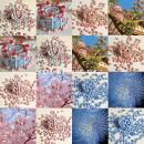 10mm瓷珠琉璃珠玻璃散珠圆珠手工diy串珠材料饰品手串制作项链