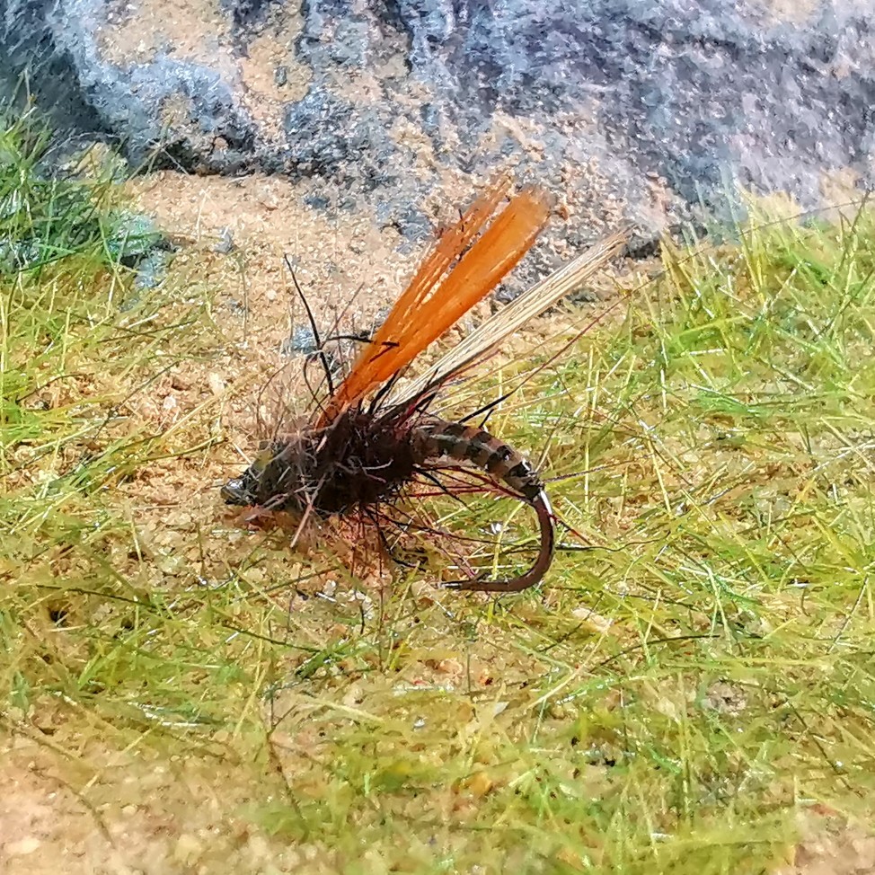 北京路亚飞蝇钩浮水干式石蚕蛾毒蚊飞钓鳟鱼饵微物马口溪仿生y160