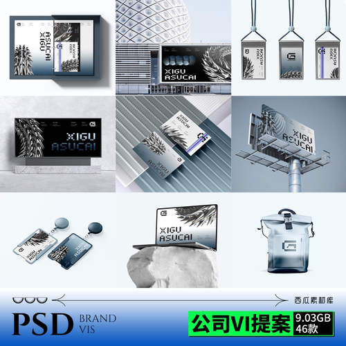【VI010】科技商务毕业设计互联网公司品牌VI手册提案PSD工牌样机
