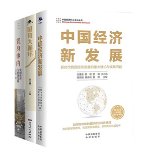 兰小欢 中国经济新发展 国内大循环 置身事内 中国经济发展新格局 中国政府与经济发展