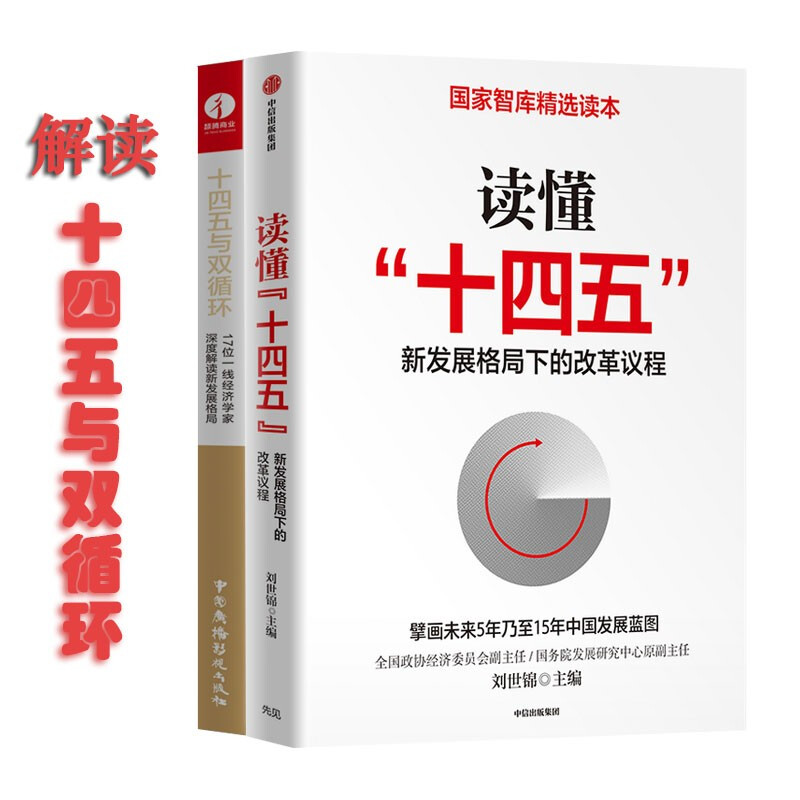 读懂“十四五”+十四五与双循环 新发展格局下的改革议程