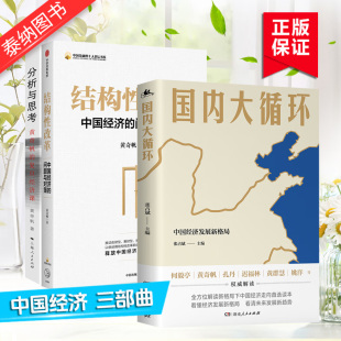 复旦经济课中国经济 分析与思考黄奇帆中国经济三部曲黄奇帆 问题与对策经济发展新格局 国内大循环 结构性改革