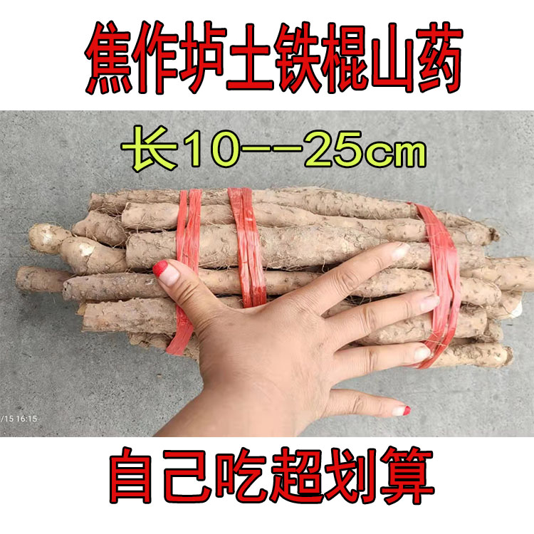 家庭实惠装垆土地硬工人挖断的