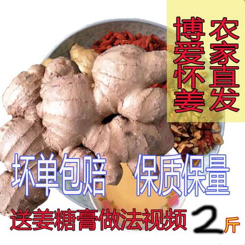 新鲜2斤焦作原料小黄姜