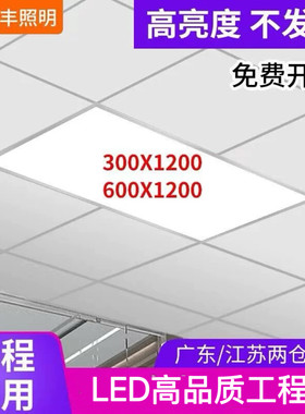 集成吊顶平板灯雷莱丰