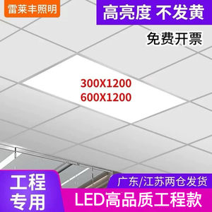 集成吊顶平板灯雷莱丰