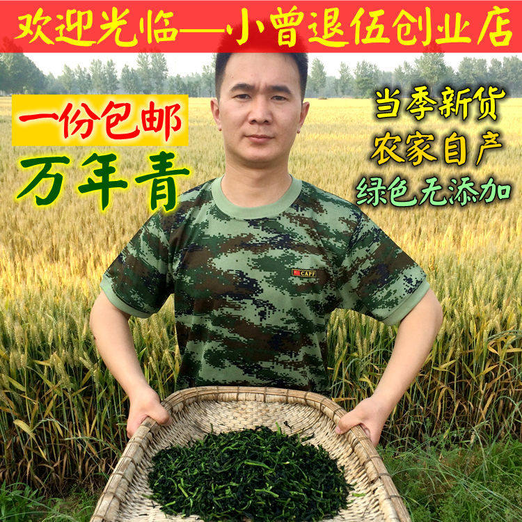 包邮 万年青500g 青菜干 嫩菜芯 脱水蔬菜干 农家干菜干货土特产,粮油调味/速食/干货/烘焙,特色干货及养生干料,淘宝优惠券,粉丝福利购,淘宝优惠卷