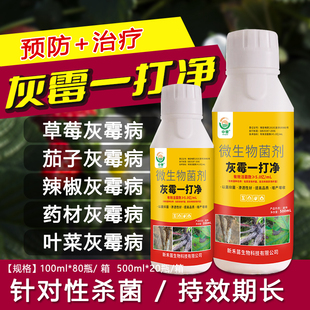 灰霉病一打净 番茄黄瓜草莓辣椒月季瓜果蔬菜花卉灰霉病专用菌剂