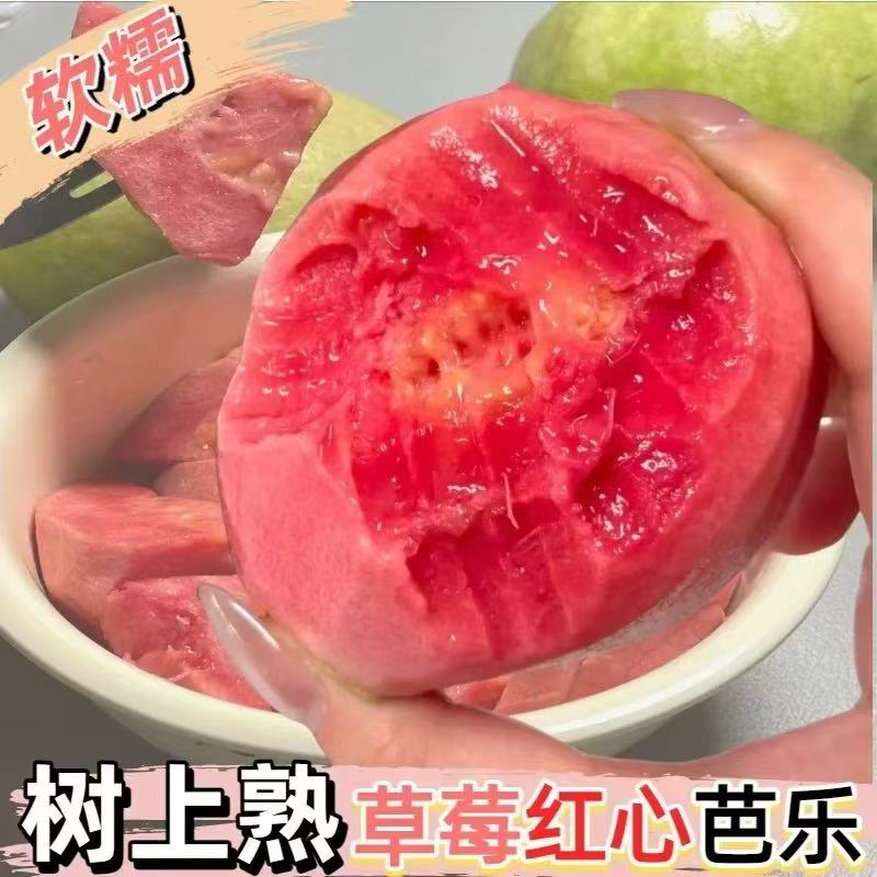 顺丰四川攀枝花红心芭乐番石榴新鲜现摘软心糯甜水果