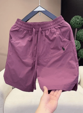 2025夏季男士速干薄款透气五分裤子打孔宽松休闲百搭简约刺绣短裤