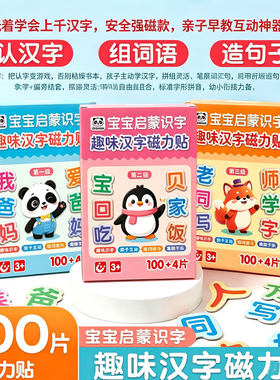 儿童磁力贴识字高频字卡