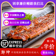鳗鱼 蒲烧鳗鱼 鳗鱼即食 日式鳗鱼饭 活鳗 烤鳗鱼 九里京500g整条