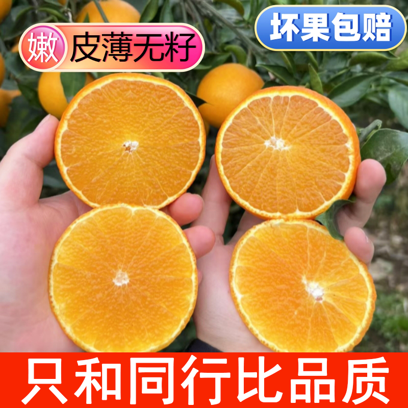 四川爆汁爆甜爱媛果冻橙