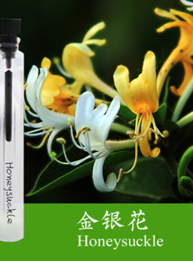 初闻金银花香水持久淡香自然花香女士清香淡雅忍冬香型