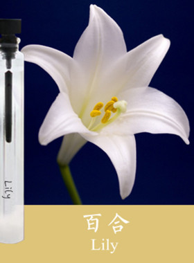初闻百合味香水淡雅自然清新持久淡香百合花香型纯植物型香水