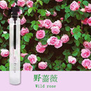 女士淡香 包邮 清新花香调 持久自然淡香 傲冷气息 偶遇野蔷薇香水