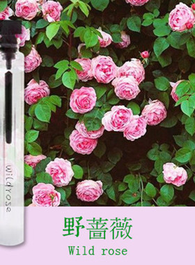 偶遇吾岸野蔷薇香水 淡香 清新花香调 傲冷气息 持久自然淡香包邮
