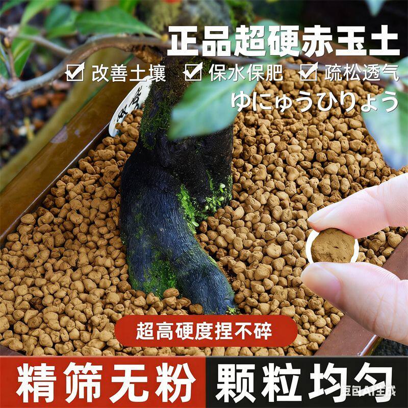 赤玉土正品精筛多肉专用盆景铺面造景颗粒爬虫龟土种花盆栽通用