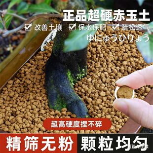 赤玉土正品精筛多肉专用盆景铺面造景颗粒爬虫龟土种花盆栽通用