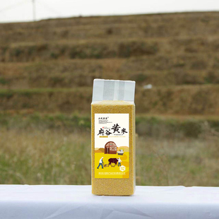 土圪梁梁陕北黄米黍米农家自产大黄米天漠杂粮大米的伴侣新米2斤