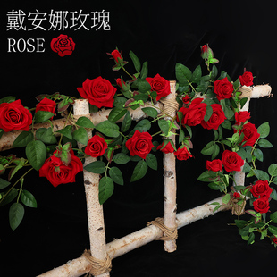 仿真玫瑰花藤假花藤条空调栅栏吊花装 饰藤蔓管子塑料高档墙面遮挡