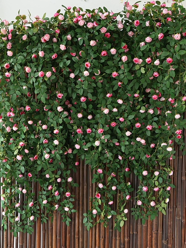 Симуляция розовая винограда бионическая стена поверхность крышка стены настенные стены декоративное зеленое растение.