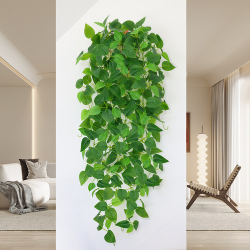 仿真绿萝客厅挂墙装饰室内吊篮花