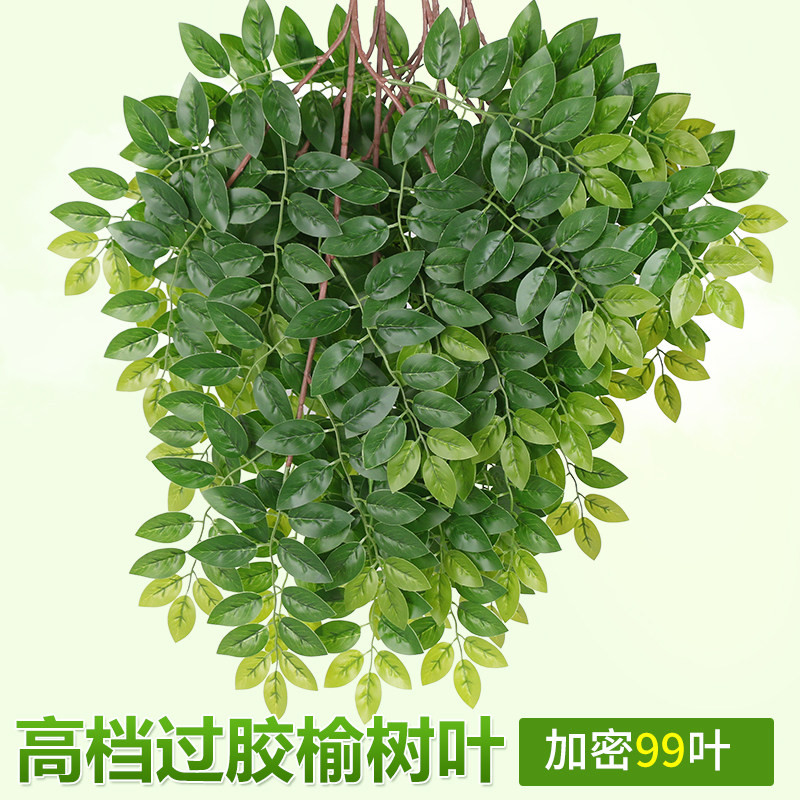 simulation Leaf Feel Plastic Elm green Botany leaf branch engineering decorate modellingin the Flower delivery/Flowers simulation/Plants gardening , Artificial flowers/Plants/Finished fruits and vegetables (New) , Artificial flowers  category - from Buy2taobao.com to provide professional Taobao agent buy service