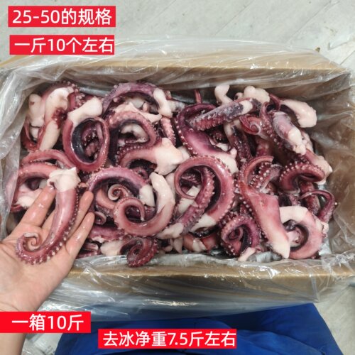 脆口鱿鱼须海鲜冷冻烧烤商用水产