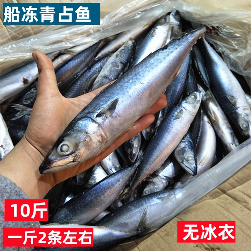 青占鱼10斤新鲜船冻青花鱼花鳀鱼青条鱼鲭鱼鲐鱼花鲱海鲜水产包邮 - 封面
