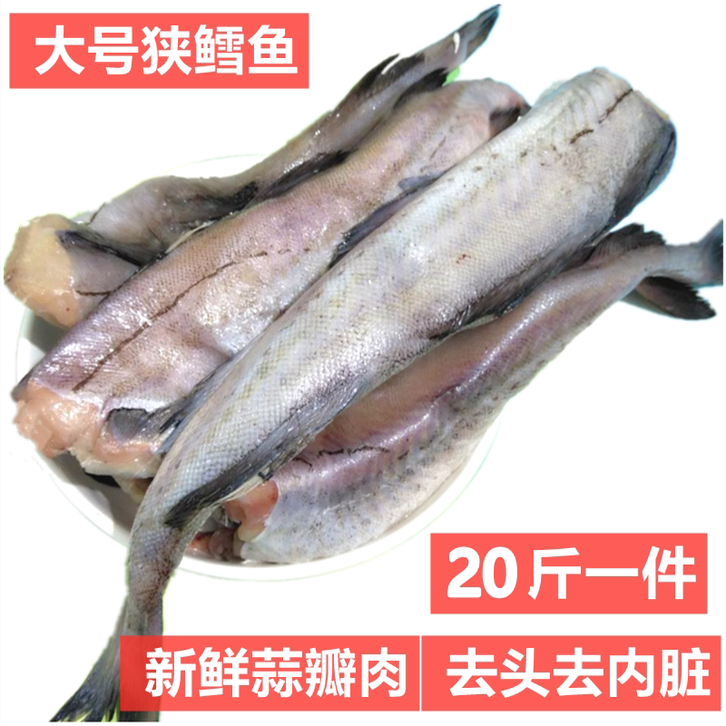 新鲜大号明太鱼20斤狭鳕鱼棒棒鱼东北特产冷冻深海鱼酒店食材包邮