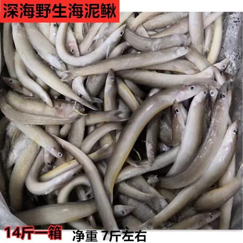 海泥鳅油炸酒店食材玉筋鱼冷冻