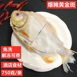 爆腌黃金斑魚750克海鮮冷凍腌制斑魚免洗可用私房菜酒店食材 水產圖片