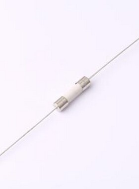 0215002.MXESPP 一次性保险丝 FUSE 250V 5x20 Single PGT HBC 2A