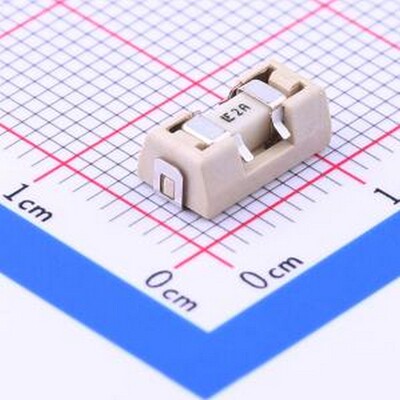 0154002.DR 一次性保险丝 125V贴片式保险丝（含保险丝座） SMD,9