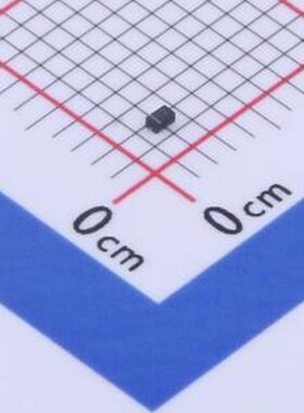 10只 TPESD5341N 静电和浪涌保护(TVS/ESD) TPESD5341N X1-DFN100