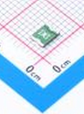 MINISMDC100F-2 自恢复保险丝 MINISMDC100F-2 SMD
