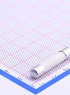 0314012.MXP 一次性保险丝 陶瓷管保险丝 D6.35xL31.75mm