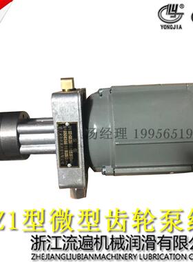 新款XHZ1/2稀油站DZ1/2泵组LDB JNB10-10SDDB1多点润包邮