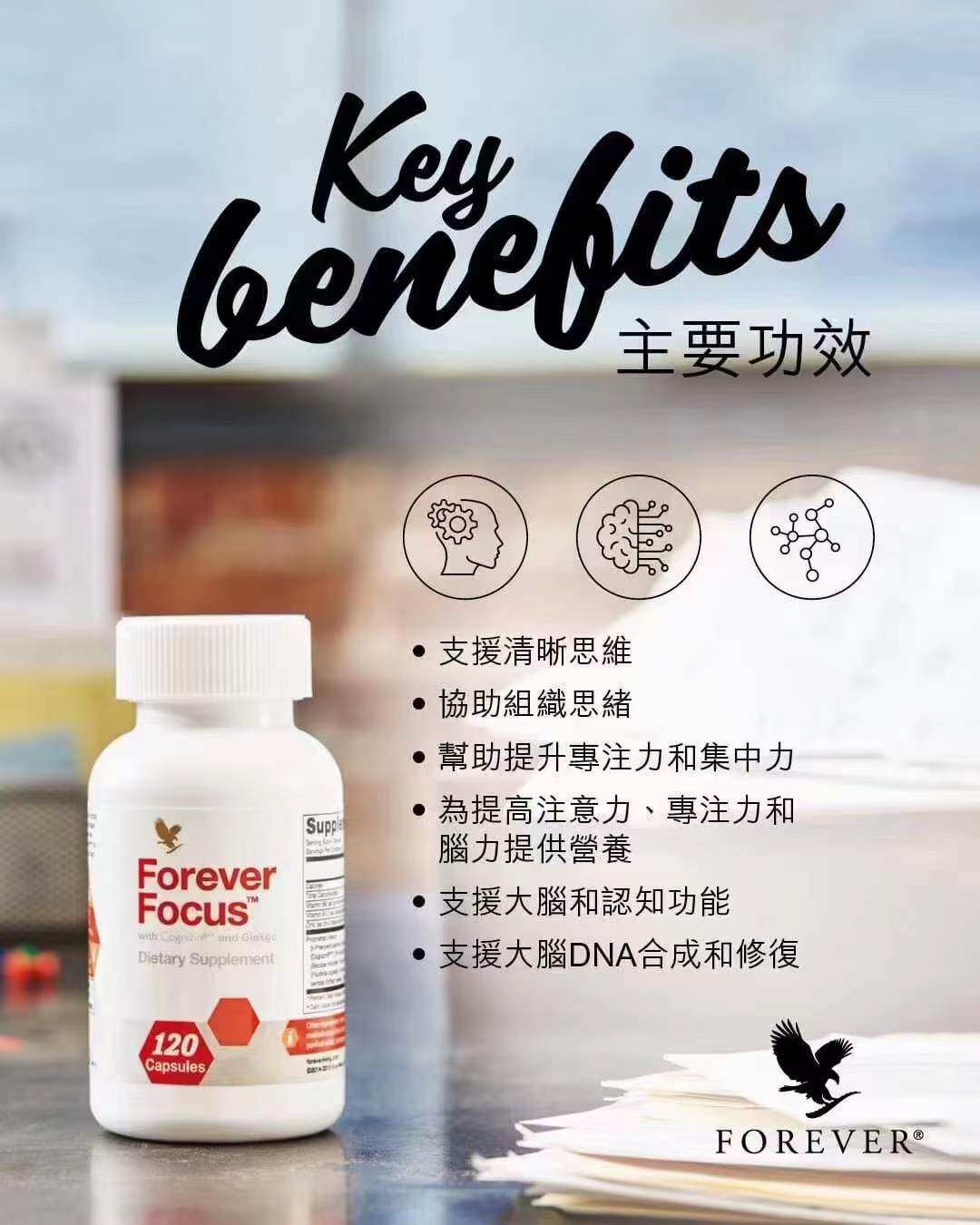 美国原装进口Forever Focus 永恒健智活脑宝 120粒/每瓶