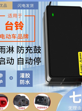 防水款适用台铃电动车铅酸新国标充电器48V20AH 60V20AH 72V20AH