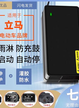 防水款适用立马电动车铅酸新国标充电器48V20AH 60V20AH 72V20AH